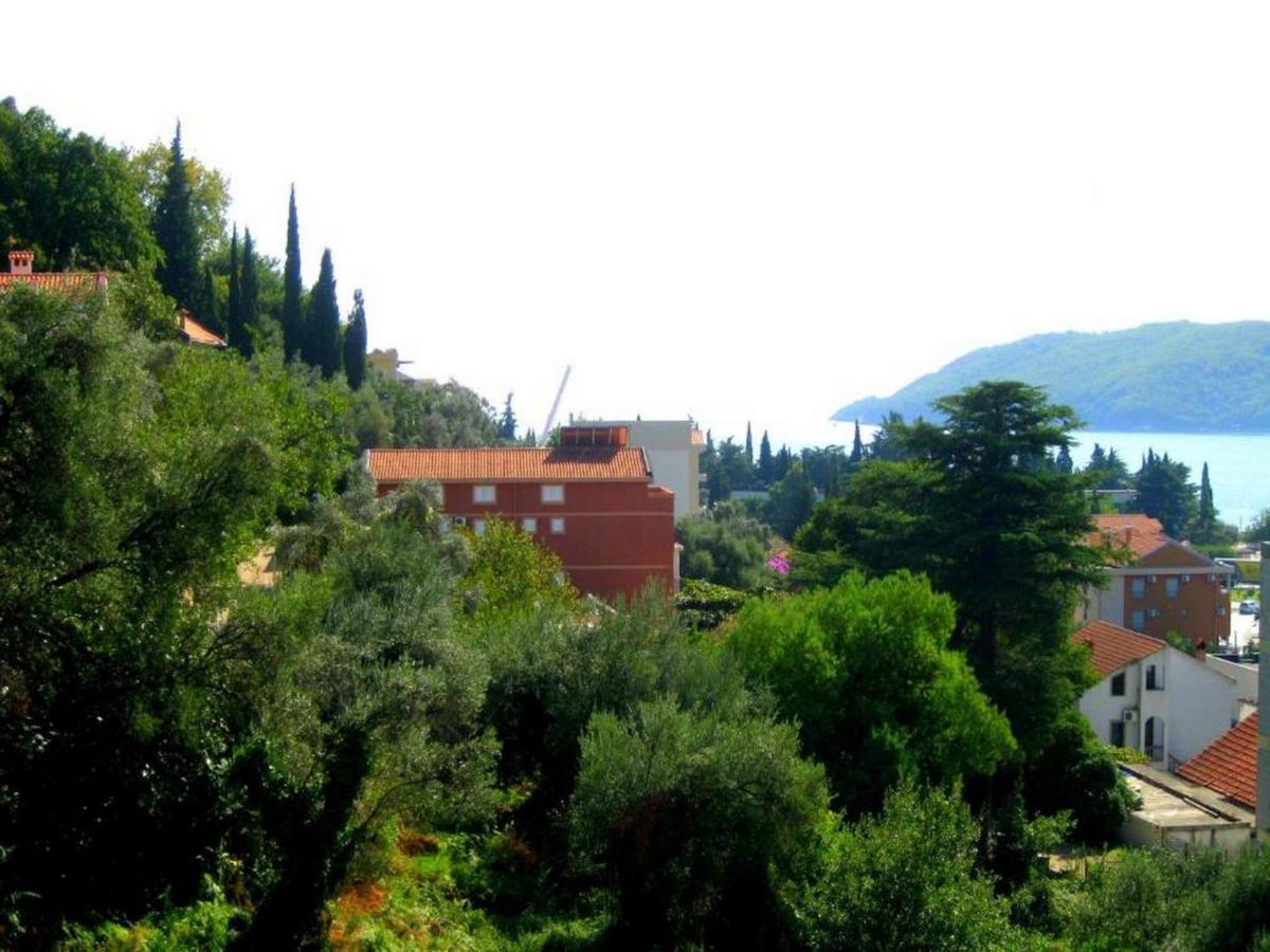 Villa Seka Budva Exteriér fotografie